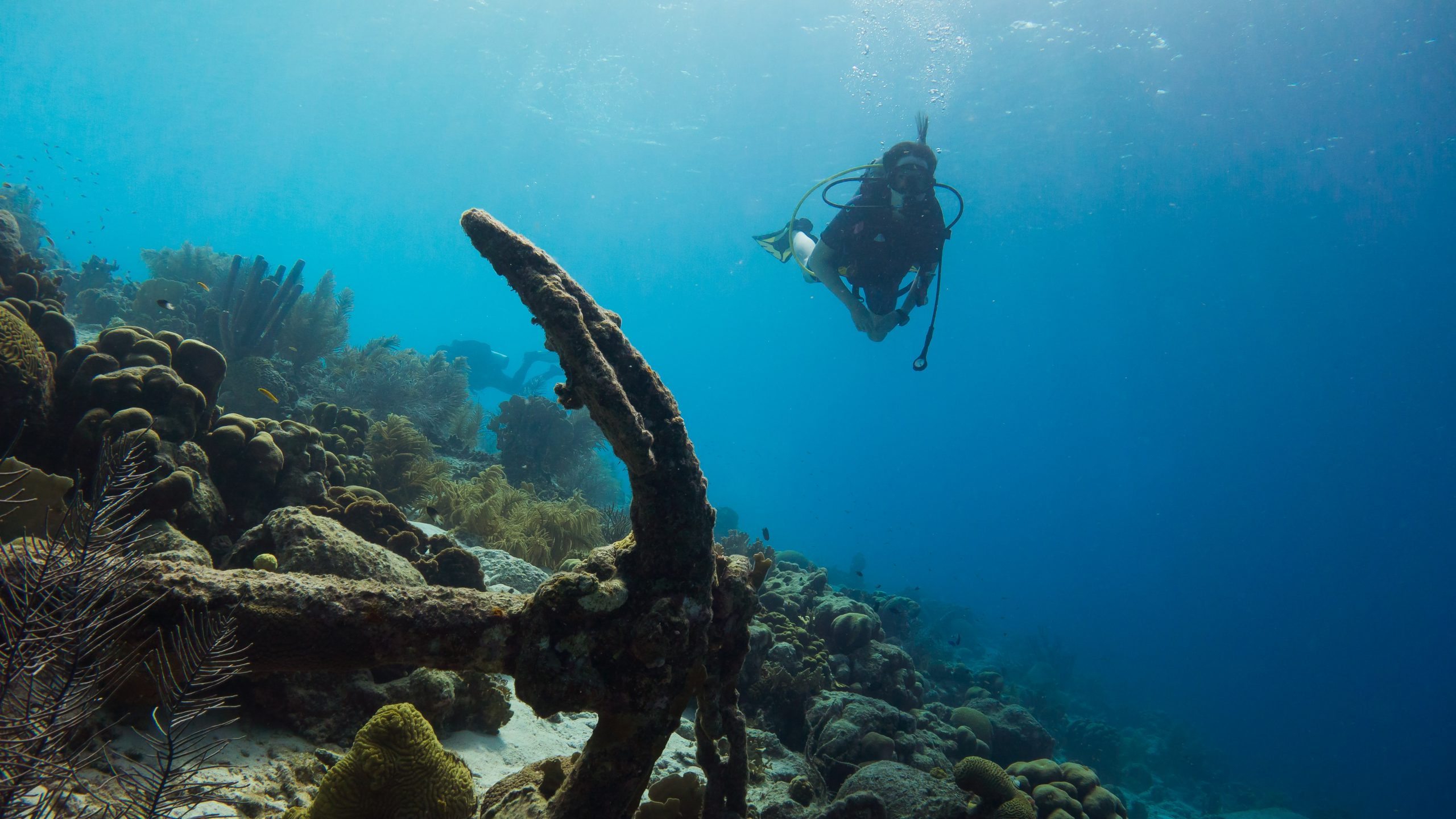 Scuba Diving and Snorkeling