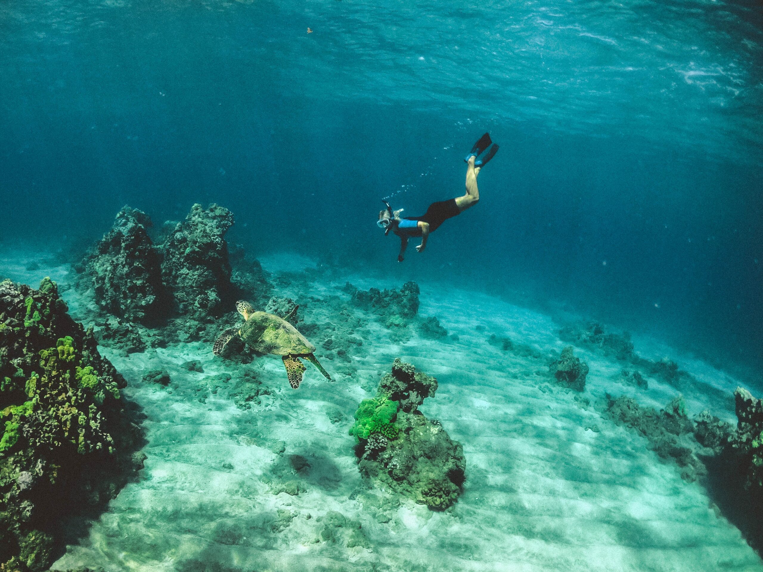 Snorkeling in Isla Mujeres